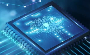 Machine Learning Bootcamp
