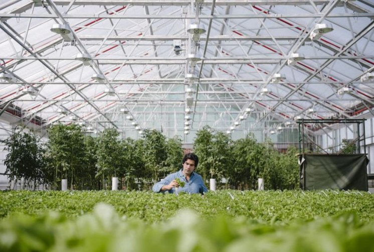 Vertical Farming